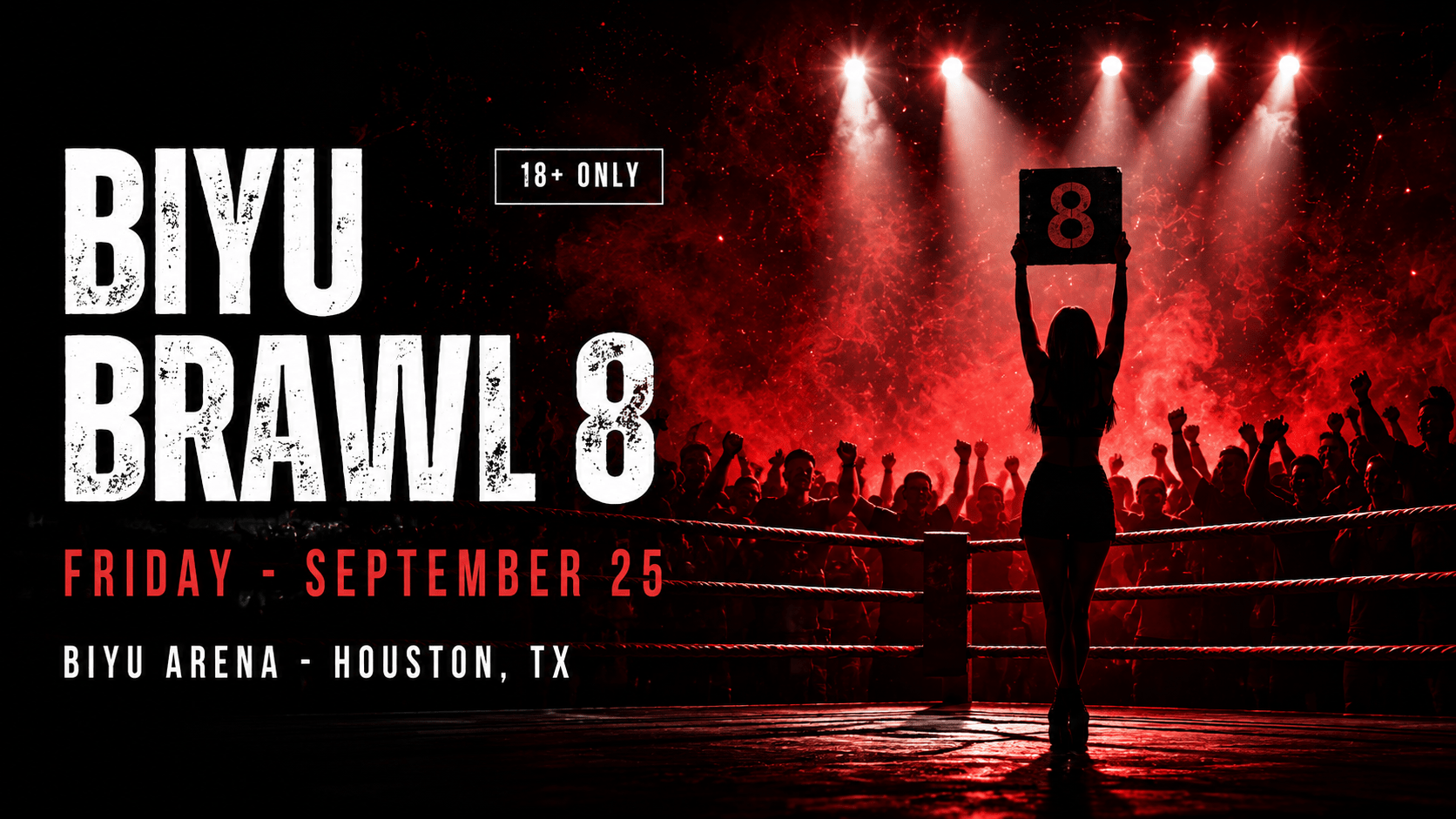 BiYu Brawl 8 Event Poster
